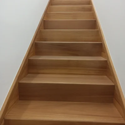 ESCALERA(1)
